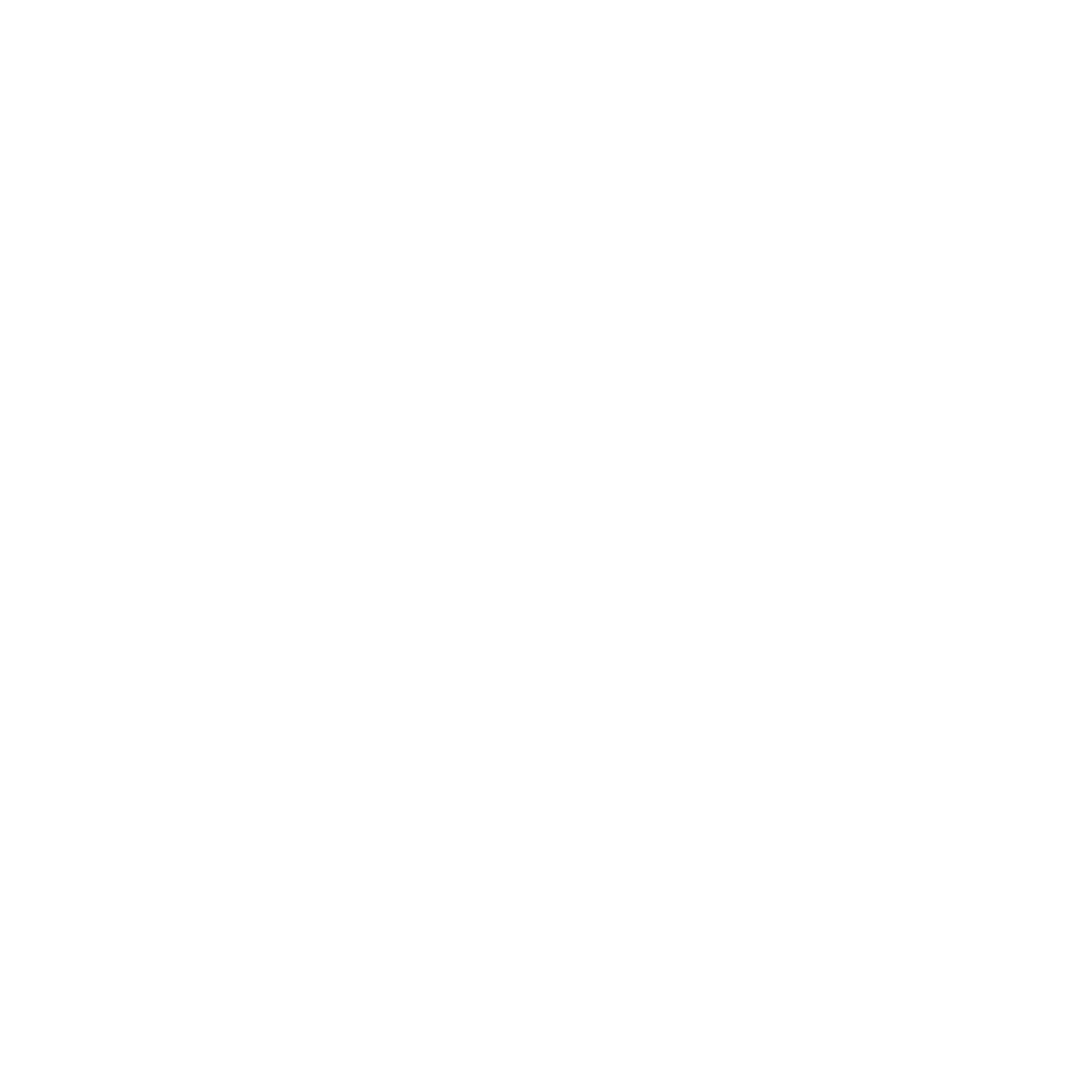 truck icon