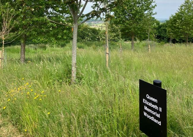 The Queen Elizabeth II Memorial Woodland is set aside for green burials