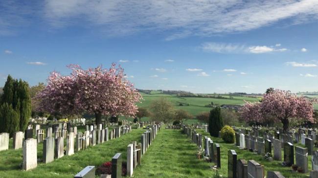 lawn graves at Haycombe