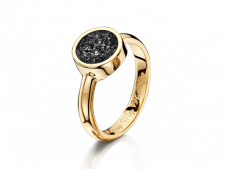 gold and black signet ring