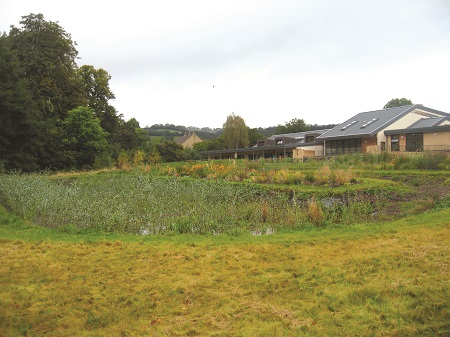 Image showing the Sustainable Urban Drainage system at Weston All Saints Primary School, Bath